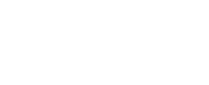 Norton logo white