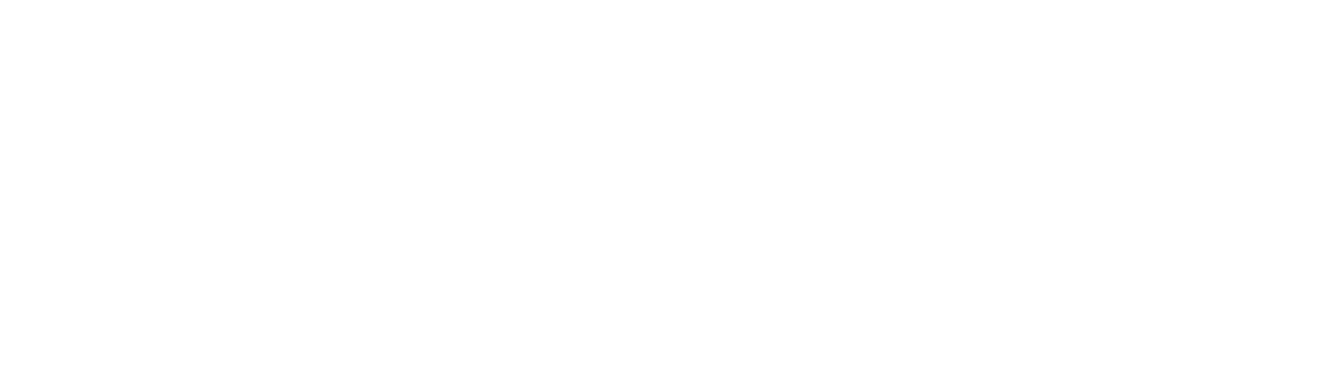 Seco logo white