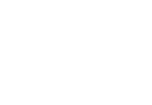 Bahco logo white